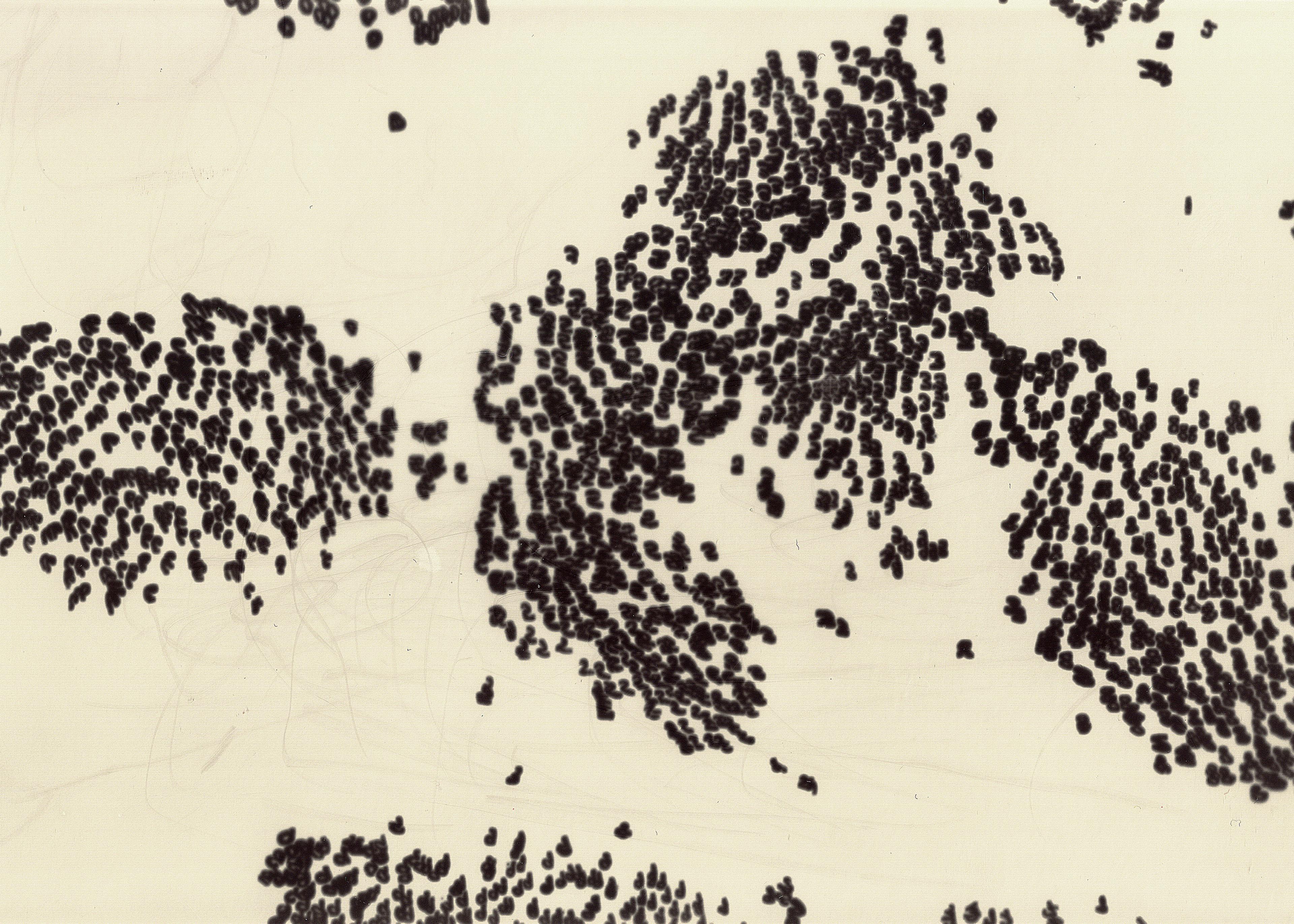 A laptopogram displaying a dataset as cloud-like clusters of black blobs on a neutral background. There are three larger collections, almost resembling a map, with some data points leaking out into the negative space.